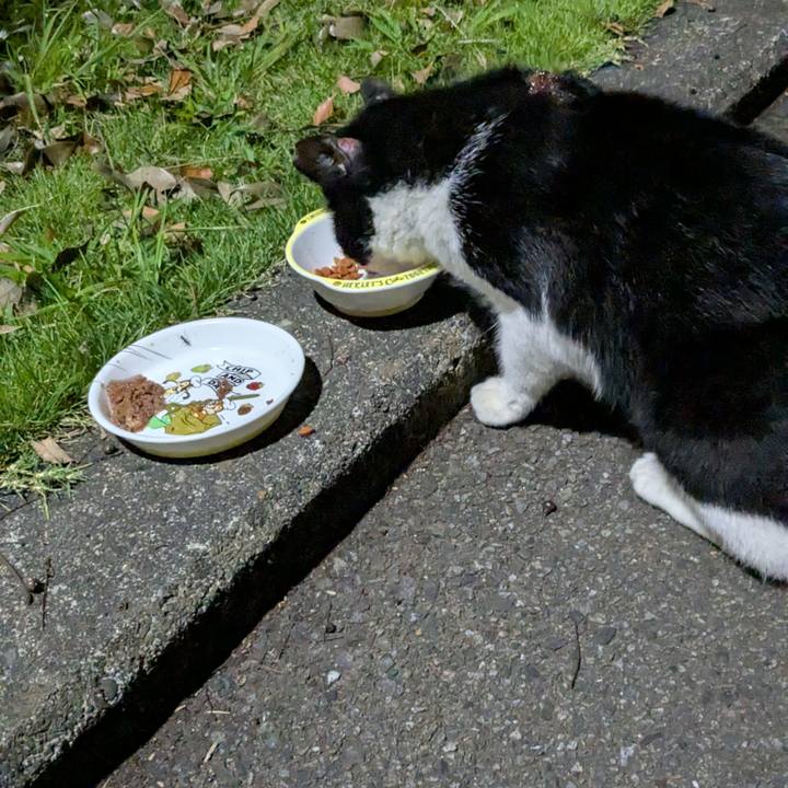 76f9b719 4cf8 46ad 9813 0ac699afd3c8 1755702710093