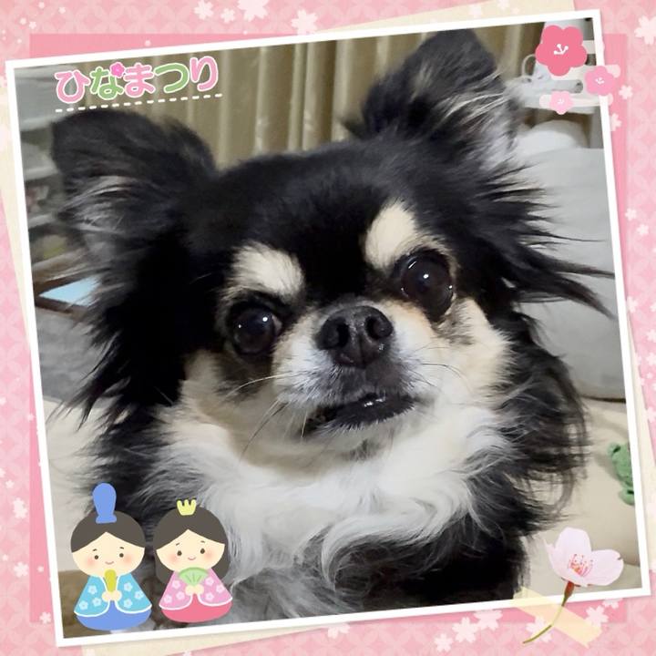 76f9bfe3 9bc2 4701 91bd 1beb11091729 1740959759439