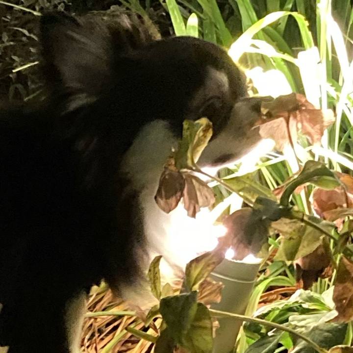 76f9fe8f 9578 4b83 9897 5308fffd7081 1656774299156