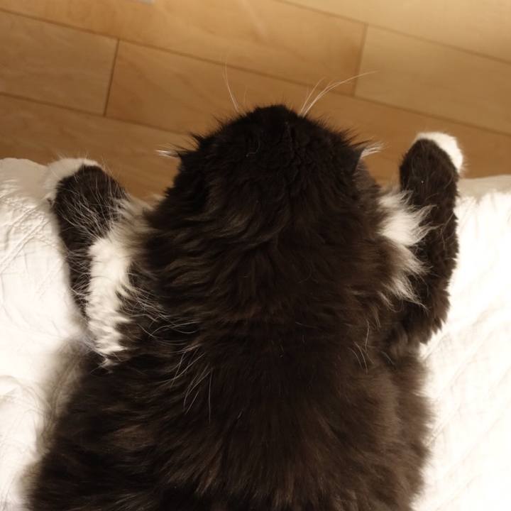 76fa0065 cf61 43ec 851f 42f257902192 1539874664528