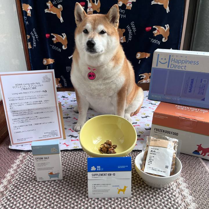 76fa22ab 7111 4f5c adf8 060622480def 1676237299106