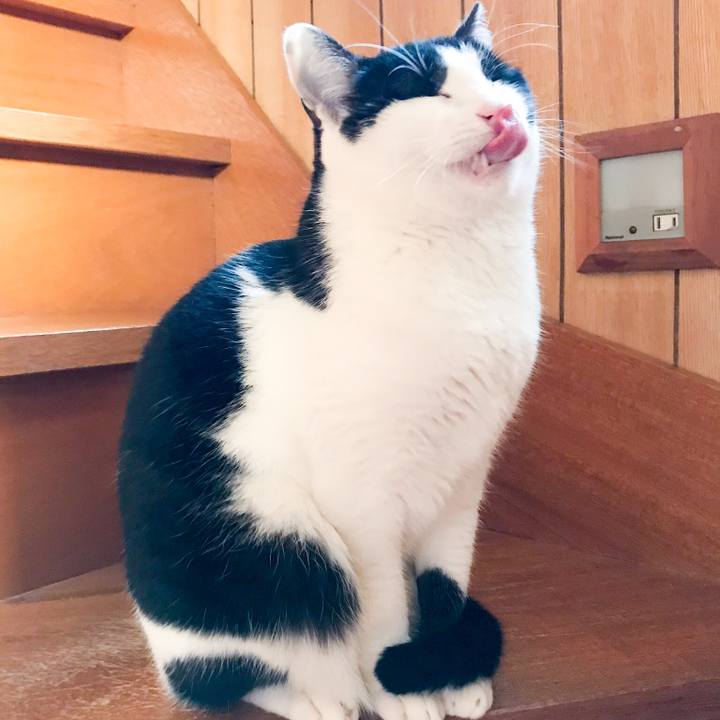 76fa3dfd 031e 4214 b581 9e4c6837117a 1520864934269