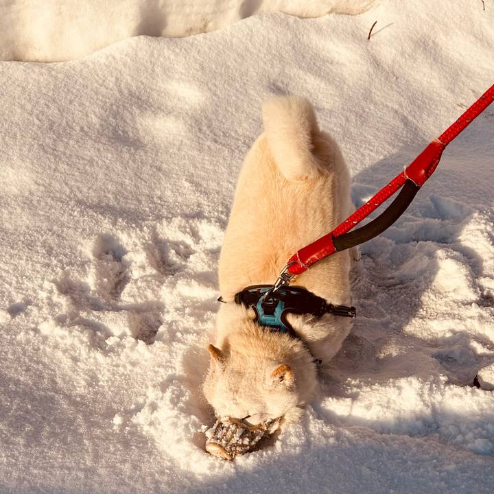 76fab22b 9826 48cb a99a 4e059353e01a 1773009548981