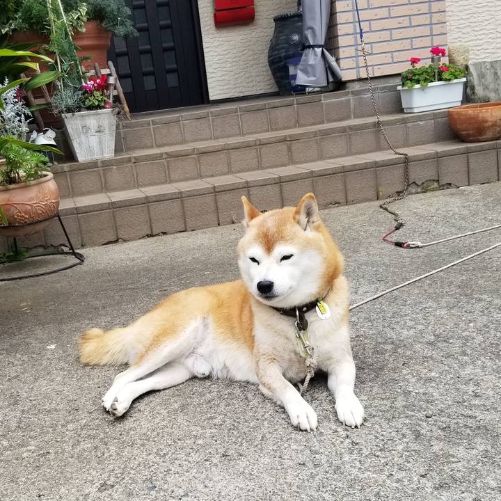 76fac196 962b 4c78 bf41 eebf6d50061f 1667001557387