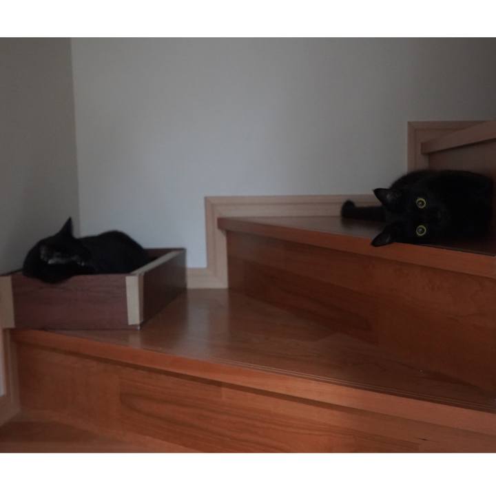 76fae446 d528 4bb7 b3e6 f4a3a635462a 1598703300471