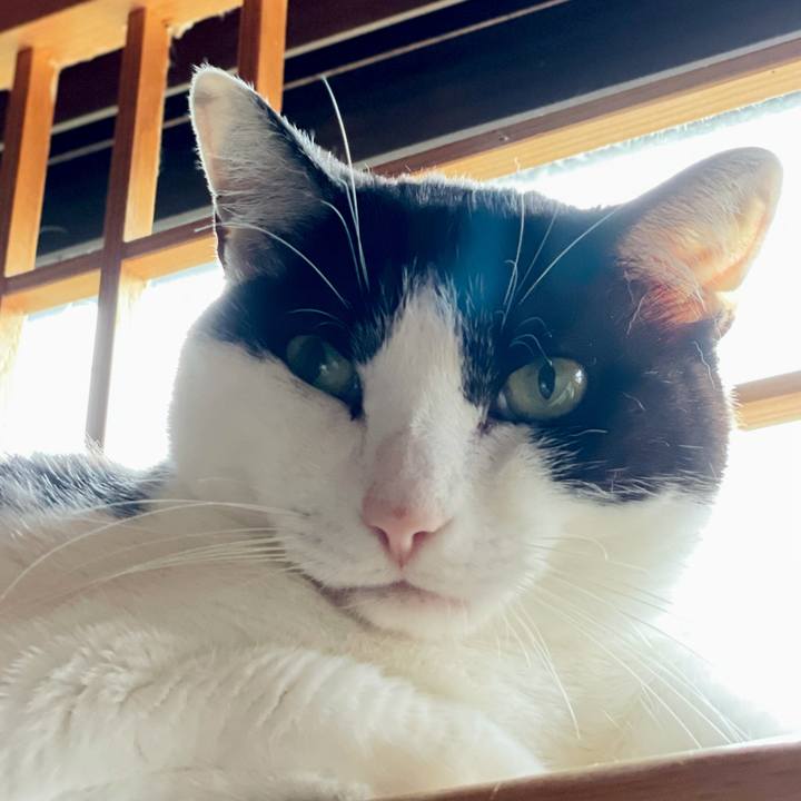 76fb16de 71d7 487e b7a1 907f067065c0 1625886336888