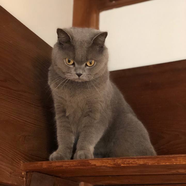 76fb7ec8 4392 4e66 8bff e2c8e564c7a4 1560247873784