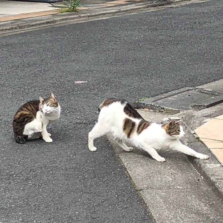 76fb986e c2d3 490c b01a 6162e923c738 1523867404592