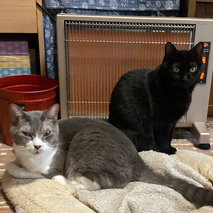 76fb99d8 6218 42b8 97dd 095ecb29acd5 1733636328169