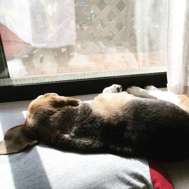 76fc0a8d 9e36 491a 8b1d 649c548bff77 1508933233145