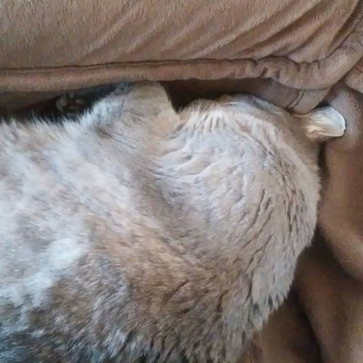 76fc5f6e 88e2 4797 996c 5f5d4cc5b83a 1521943467410