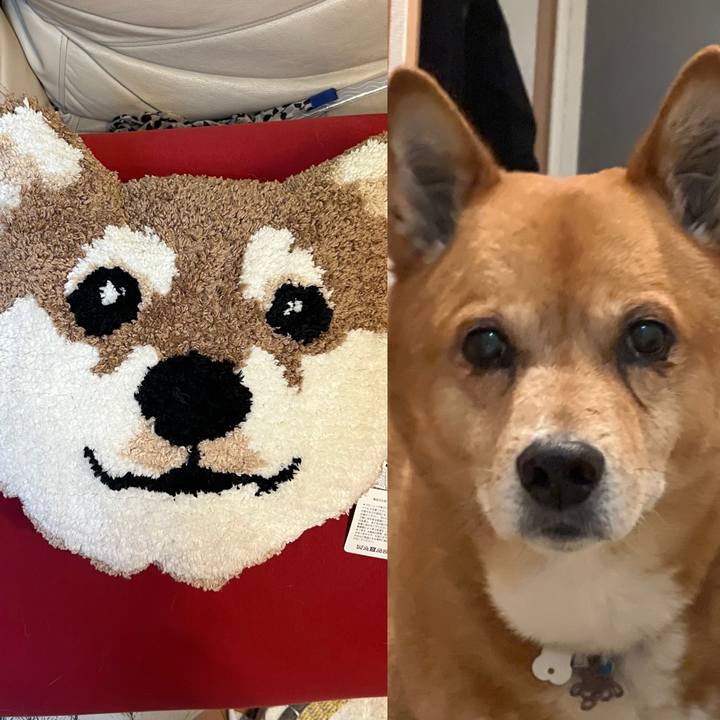 76fc6492 de79 4b49 9456 19196f46faee 1754953725372