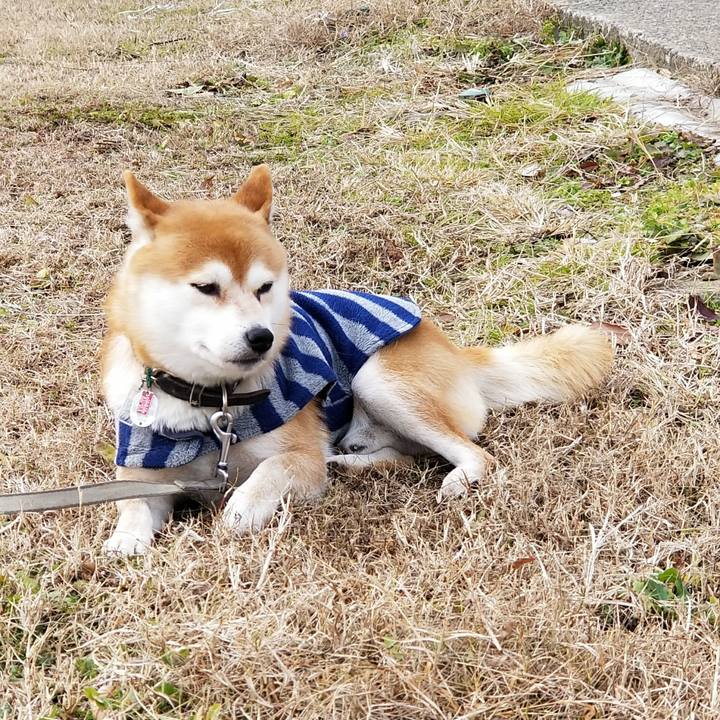 76fc78ac 54b6 4ed2 9a2d aac4cb126ce8 1512904448371