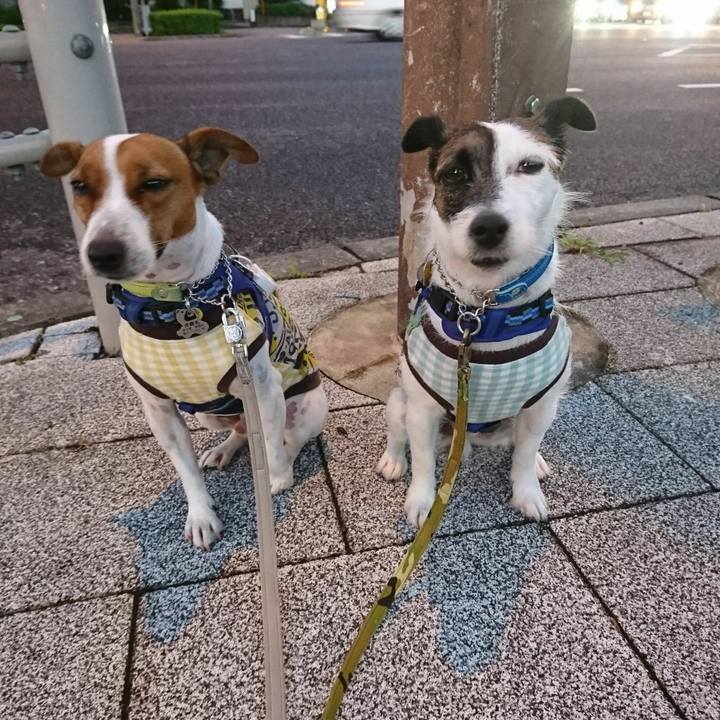 76fc8637 7a78 405b b71c be378aa4d495 1571777039266