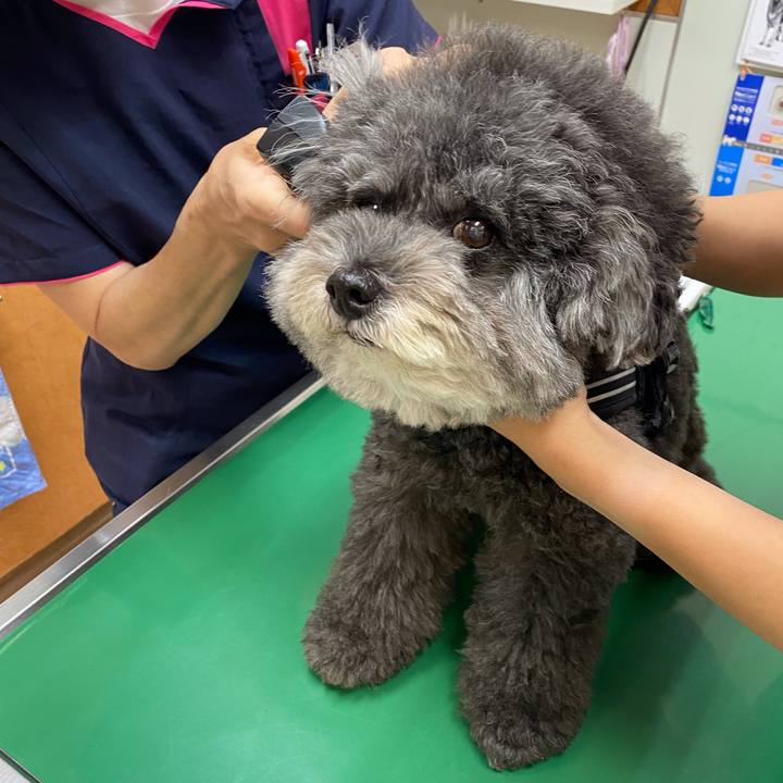 76fc9aff b81b 42c6 9511 cf18cdaf466c 1632904432170