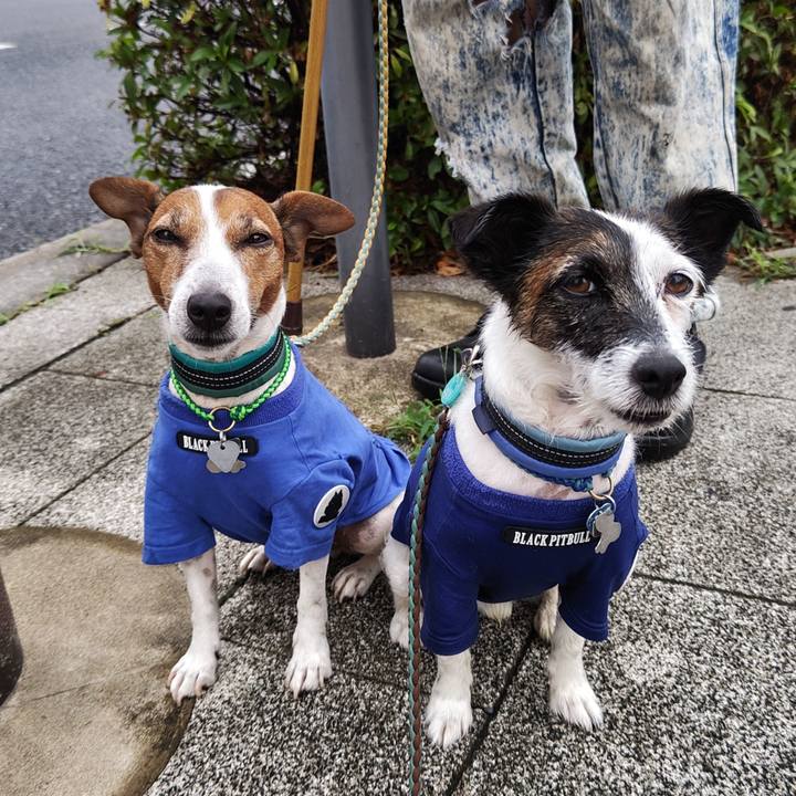 76fc9fe9 26dd 4708 918f 258c4062f81b 1721168140701