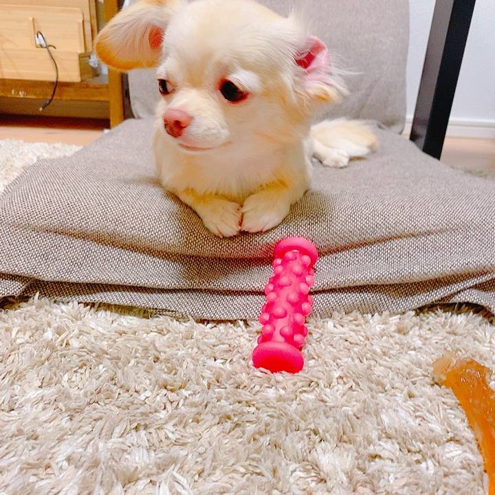 76fcb490 de76 49ff a04f 7c2daddaaabc 1629780271065