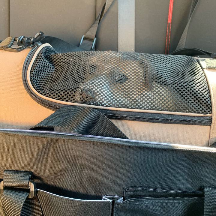 76fcd06c 8a3b 479e a679 ac4aa274febf 1772454679776