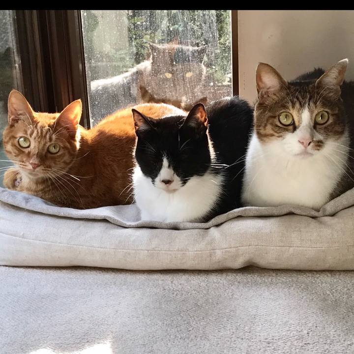 76fd0c45 2a63 42d8 b617 a9b2d02f6128 1509101818980