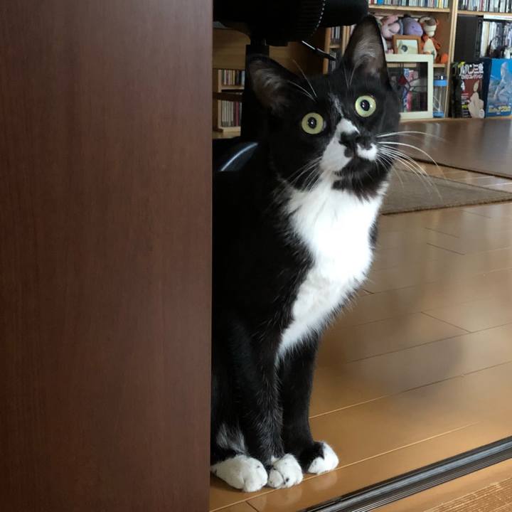 76fd0f1d 6a4e 411a 9efe e56cd04472bb 1534501805565