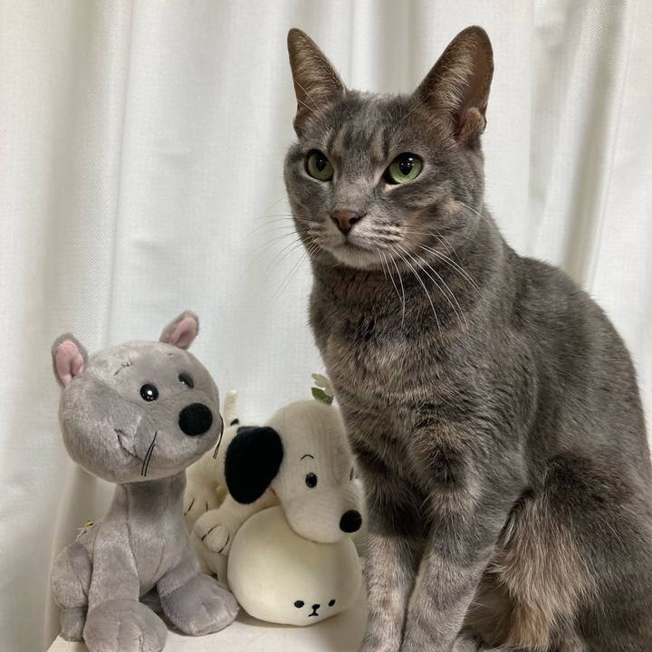 76fd632e 9f1b 4e96 ac11 522333ee7692 1606904856507