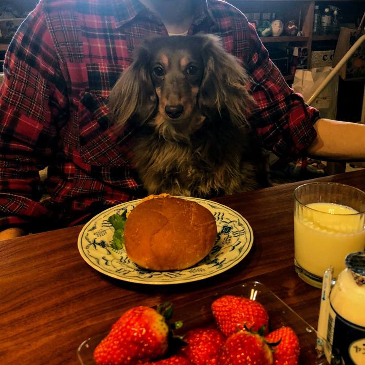 76fd76a6 3bec 41c6 9c32 6afd311f924c 1582438388219