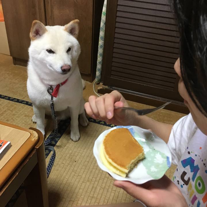 76fd7dd7 de6a 47cd b7af 9704a4b904b2 1534034945122