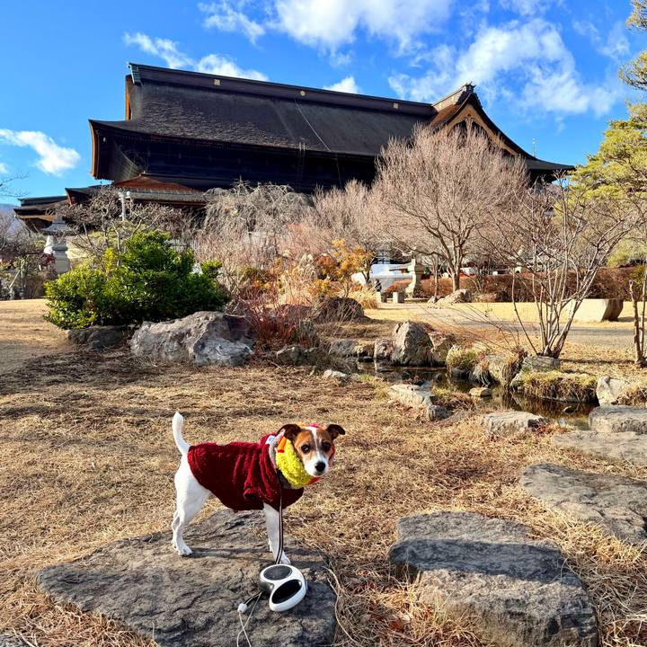 76fd88ae cf1a 4686 a89e b16c48a4d8e2 1767718636857