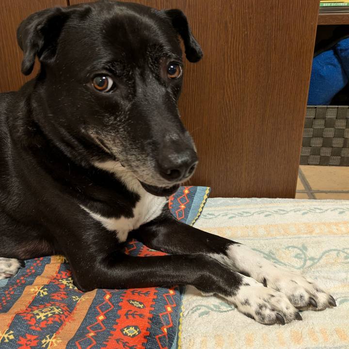 76fd9317 5587 415b 8451 4d5c7cead9ff 1720013404190