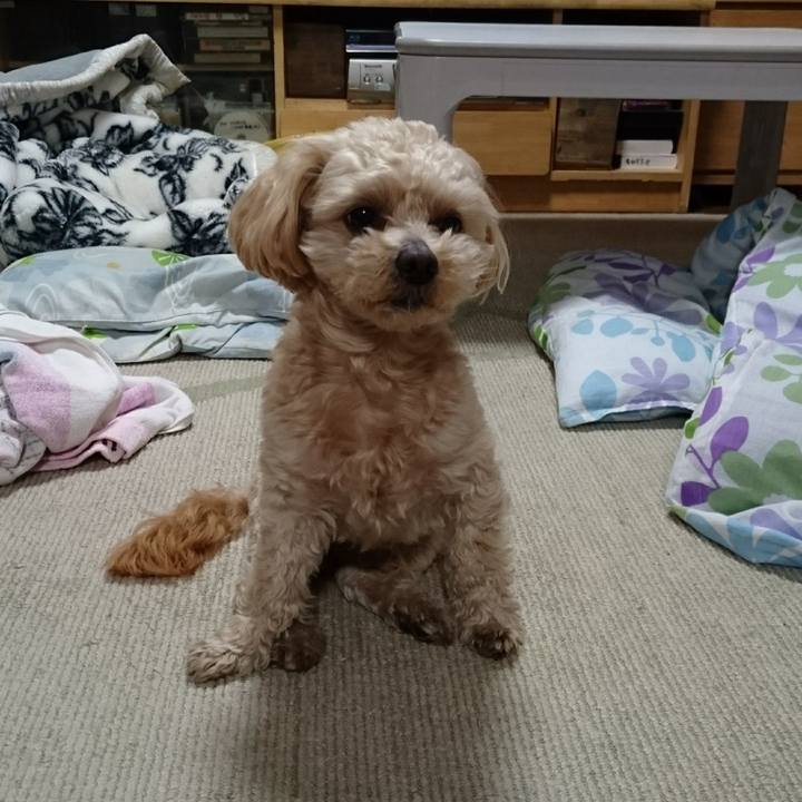 76fdacef 6060 40d6 8032 14f7f965d30a 1558098862954