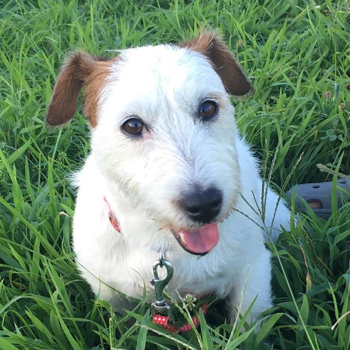 76fdc06c 886b 4333 8907 1740db5b6a60 1535024688603