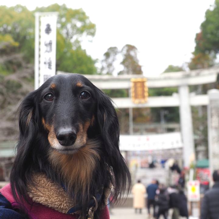 76fdf26c 58a8 4b4c 9c2c 67bd2fb80756 1672561266450