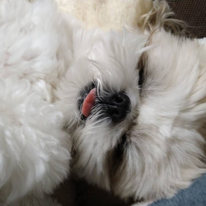 76fdf8d7 9b7e 40f2 a761 da00ed461882 1646442643775