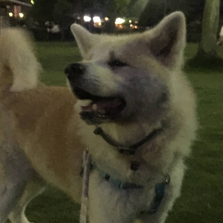 76fe0b0e 31cc 467c ae3e 3d76c83e1104 1539179516763