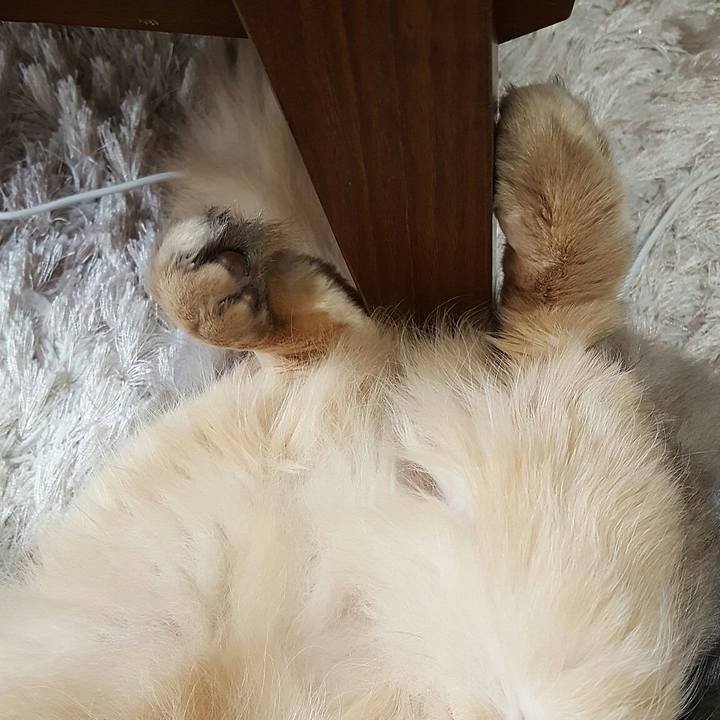 76fe107f 69be 479a 83f2 5e411a3d2339 1556532313307