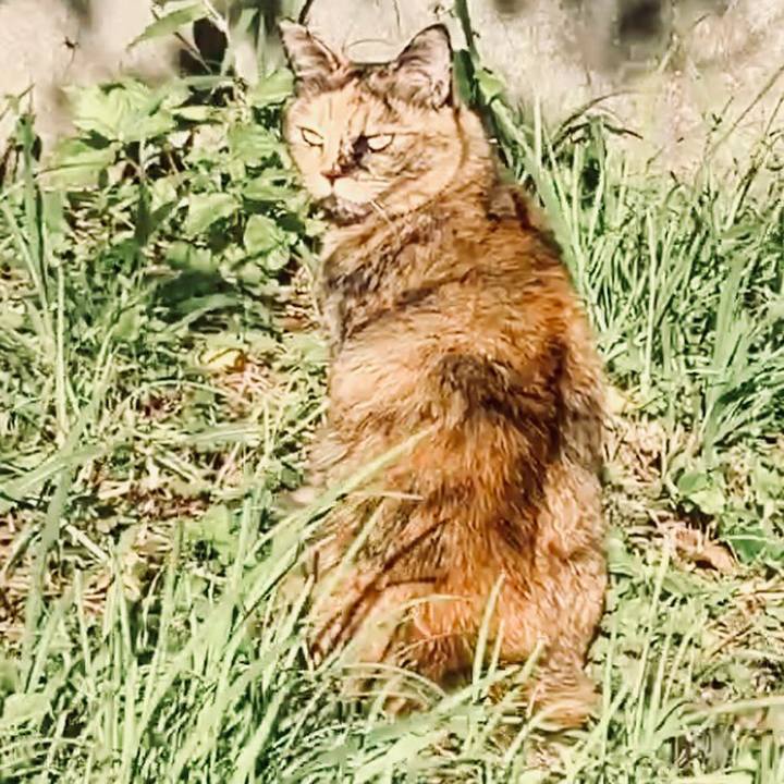 76fecd79 1d63 4a7b 83eb d224ee2f003f 1730866809768