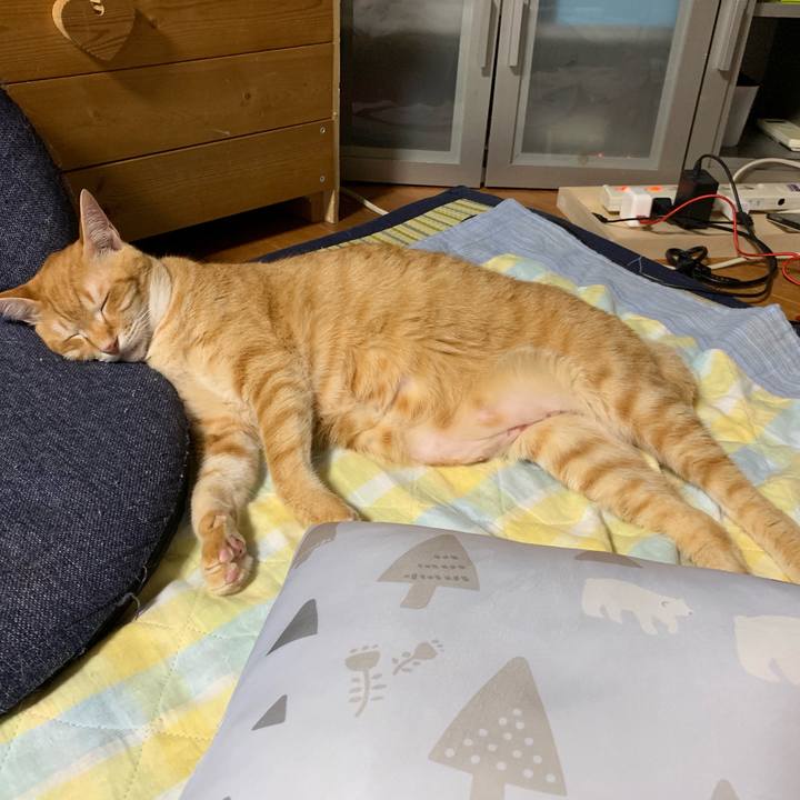 76fed0e5 b706 4f25 97e1 839c8c43ba8d 1559411876019