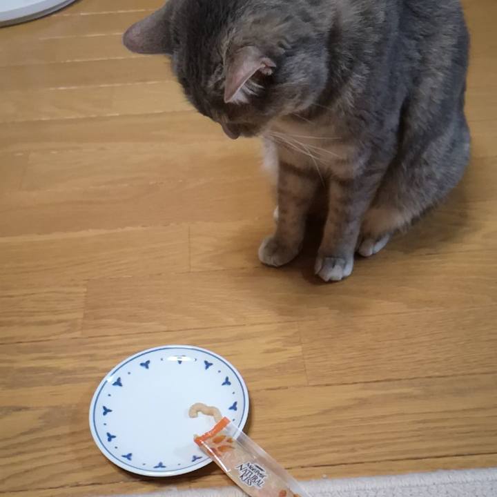 76fed4e5 c5d4 4e02 8a7f a6875c2bb029 1562205094345