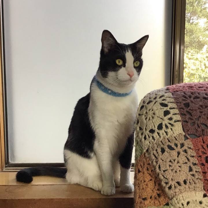 76fef035 a9a4 492b a75f 3514c5c0f5cd 1743067423454