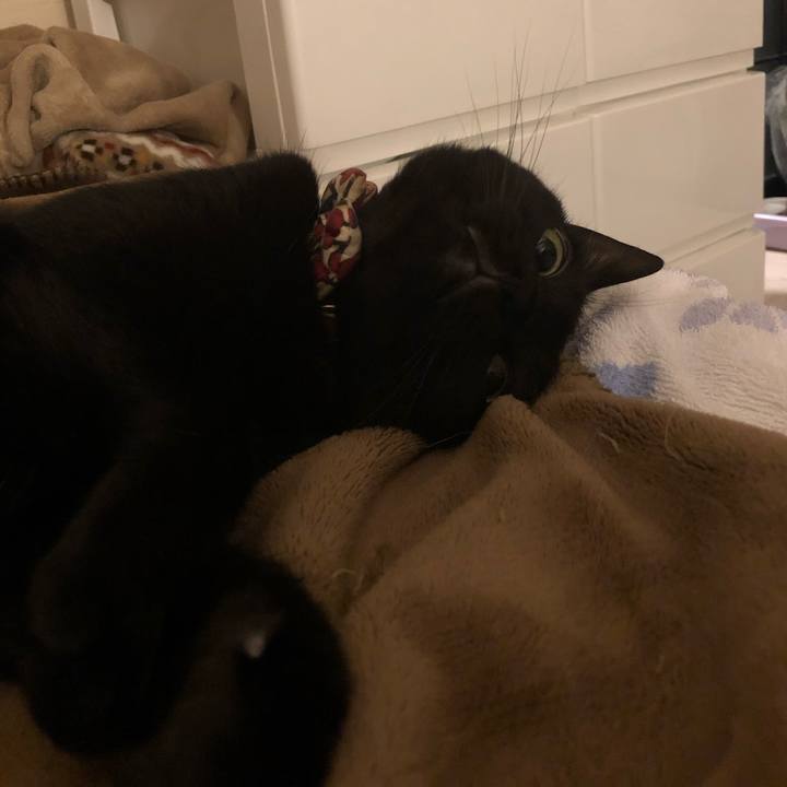 76ff2b14 7dae 42e5 9814 7e5ad63b65a7 1592569561856