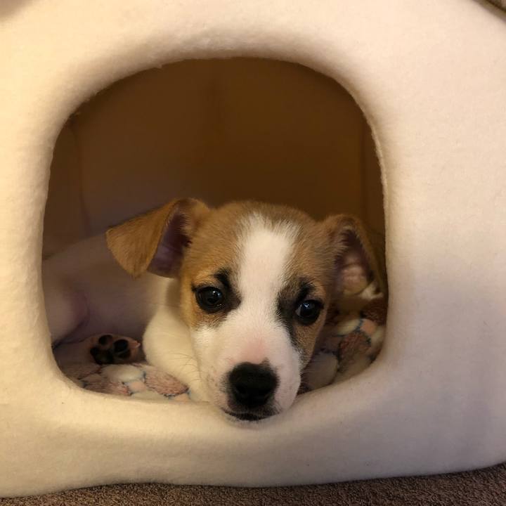 76ff3a88 2070 4b8e 8ca0 c87f03fc88fa 1544575029359