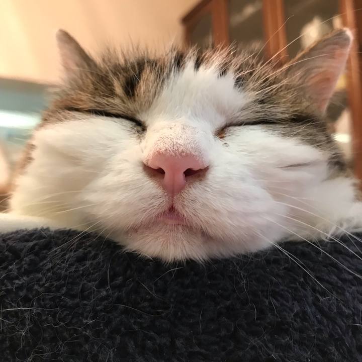 76ff3e29 ed69 4672 a1a6 d48a18f8309a 1561780930618