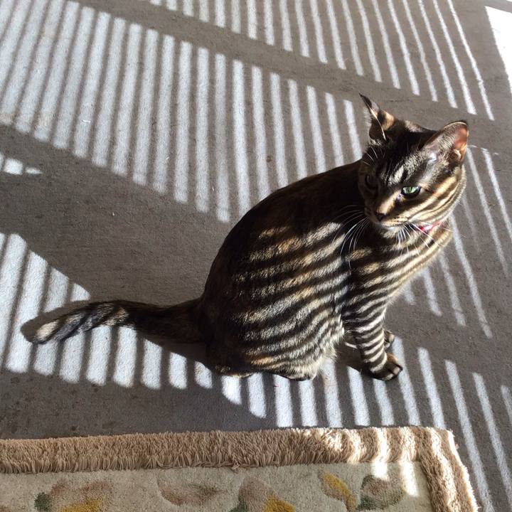 76ff5e4c 7b81 442b bc06 e2a321f13ec0 1606538626213