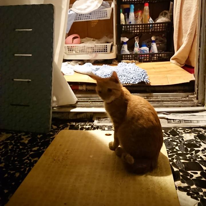 76ff7073 fb88 4fb2 a1ef 222337912702 1634299166024