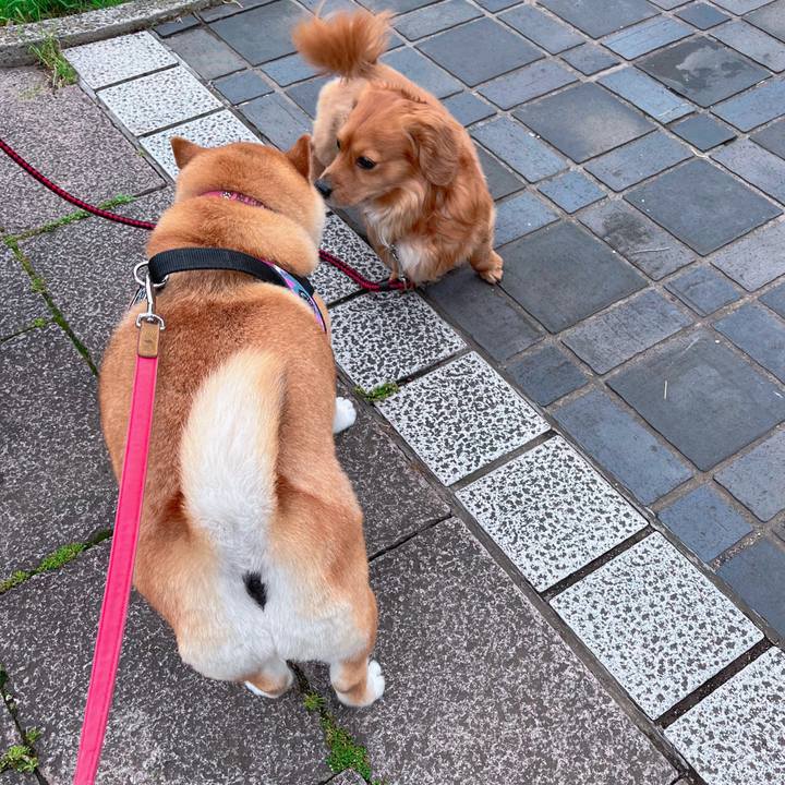 76ff83be 1ccd 445f b58d 6312450085f3 1684552092874