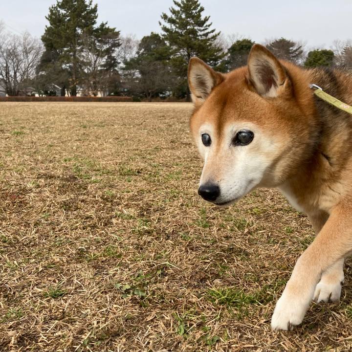 76ff881a ec6a 4709 8492 51c9b9b8d081 1673592114985