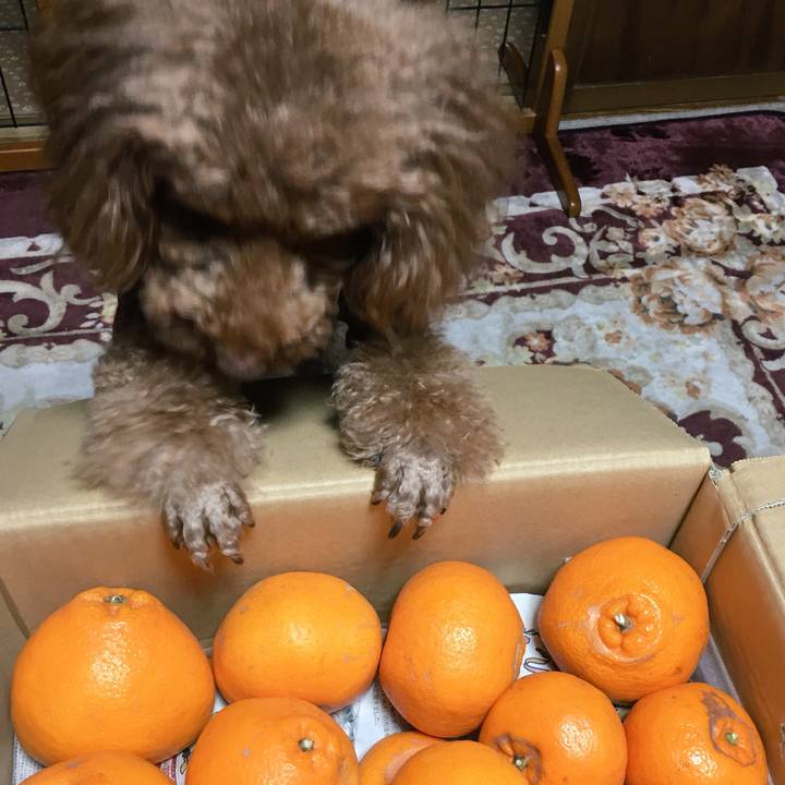 76ff97ce 4b2e 4da2 ac66 7b3038fd15a8 1518566592378