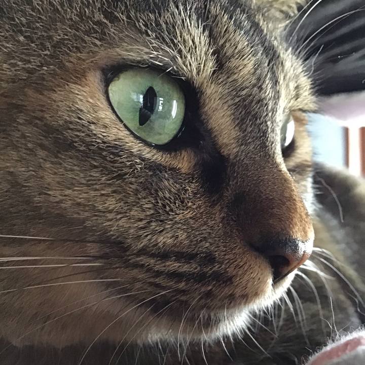 76ffb88f bfad 45be a93e 53fd04740acf 1661572940721