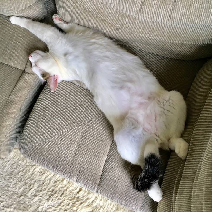 76ffc12b 6695 46bc 8658 c54d03be7bda 1525931802967