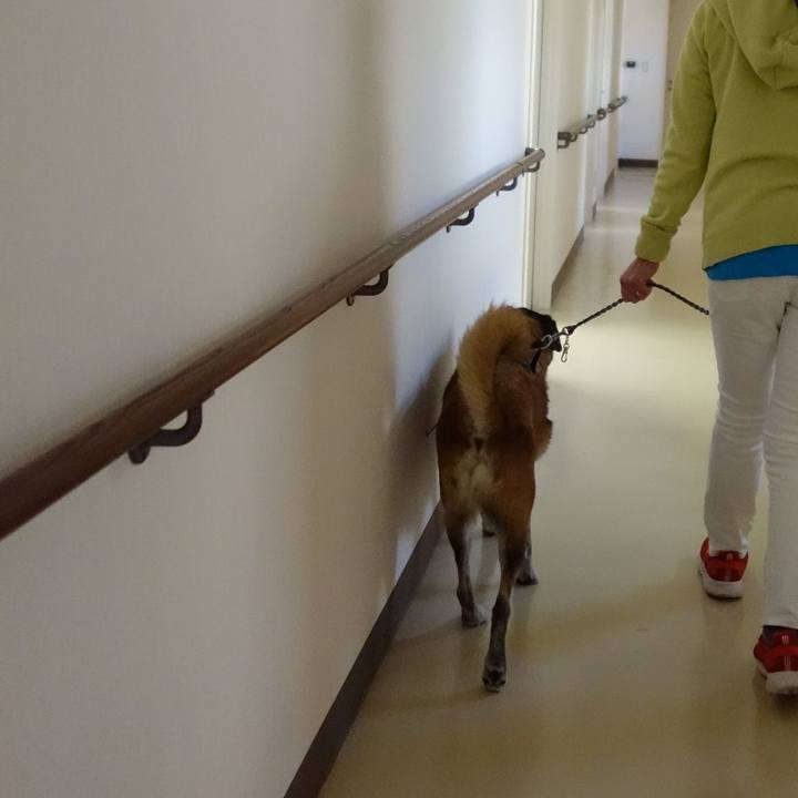 76ffc854 8070 42c4 962b 6e7c5482c9c8 1653180816215